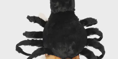/img/17517-tarantula-health-check.webp