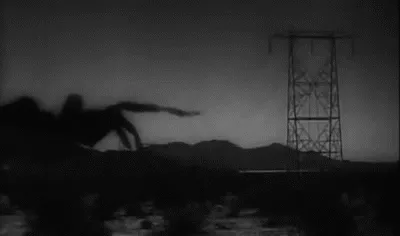17523 tarantula 1955 gif tarantula design