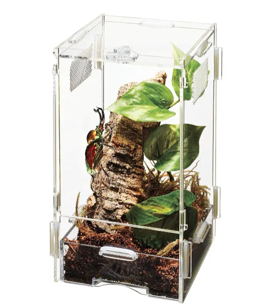 17562 mealworms for tarantulas