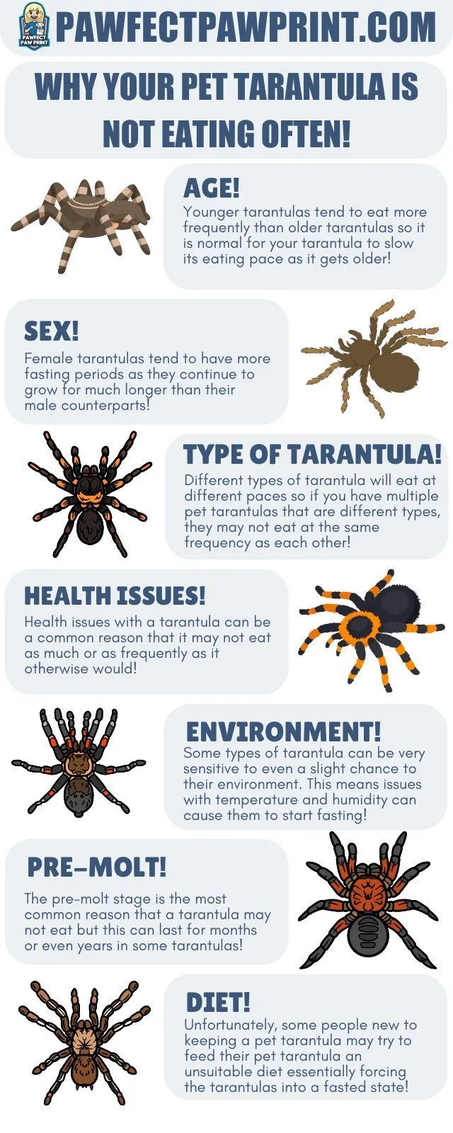 17573 tarantula environment