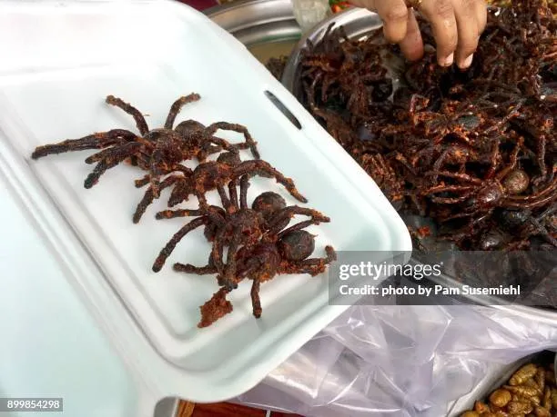 17580 tarantula handling