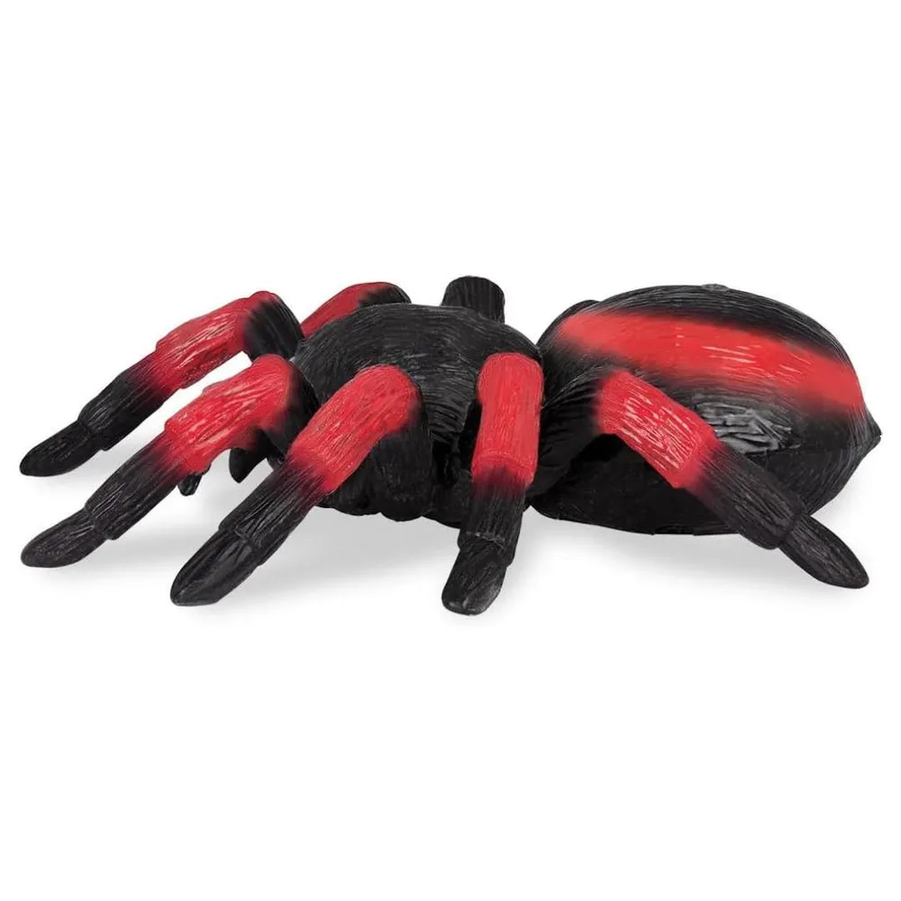 17589 rc spider tarantula 5