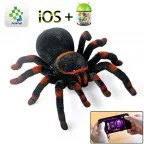 /img/17589-rc-spider-tarantula-7.webp