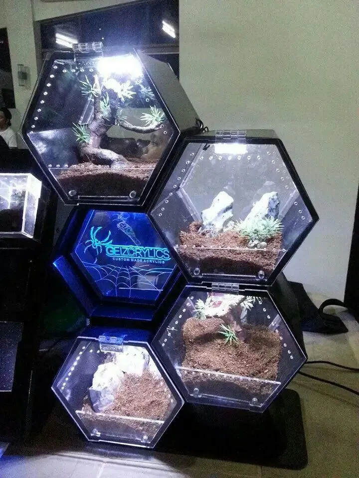 17596 substrate for tarantulas