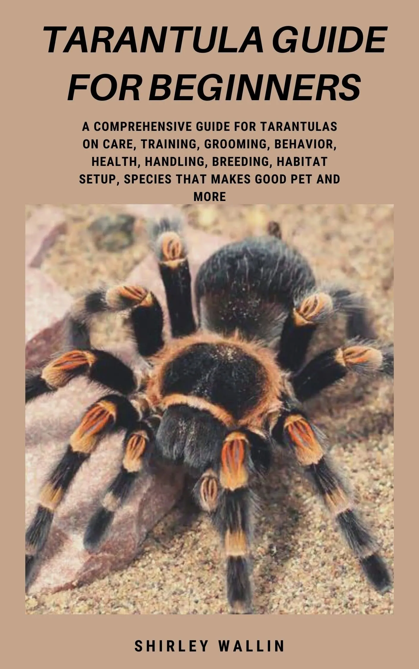 /img/17597-feeding-tarantula.webp