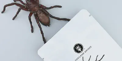 /img/17600-online-tarantula-food.webp