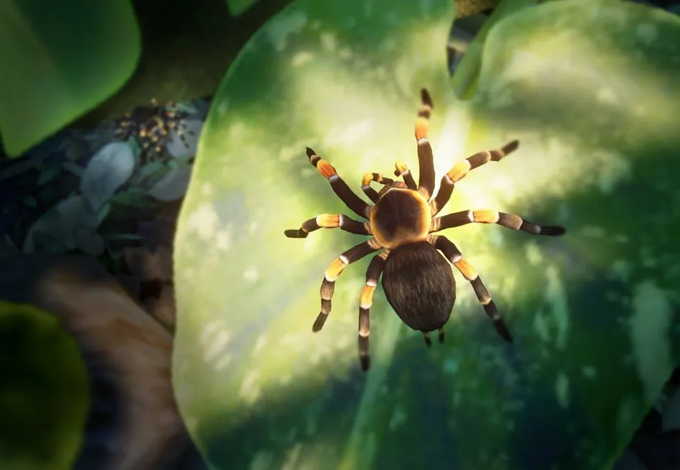 /img/17611-tarantula-habitat-decoration.webp