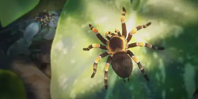 /img/17611-tarantula-habitat-decoration.webp