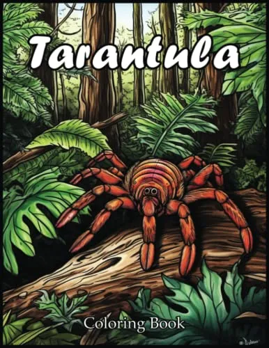 17627 bookstore tarantula shoes