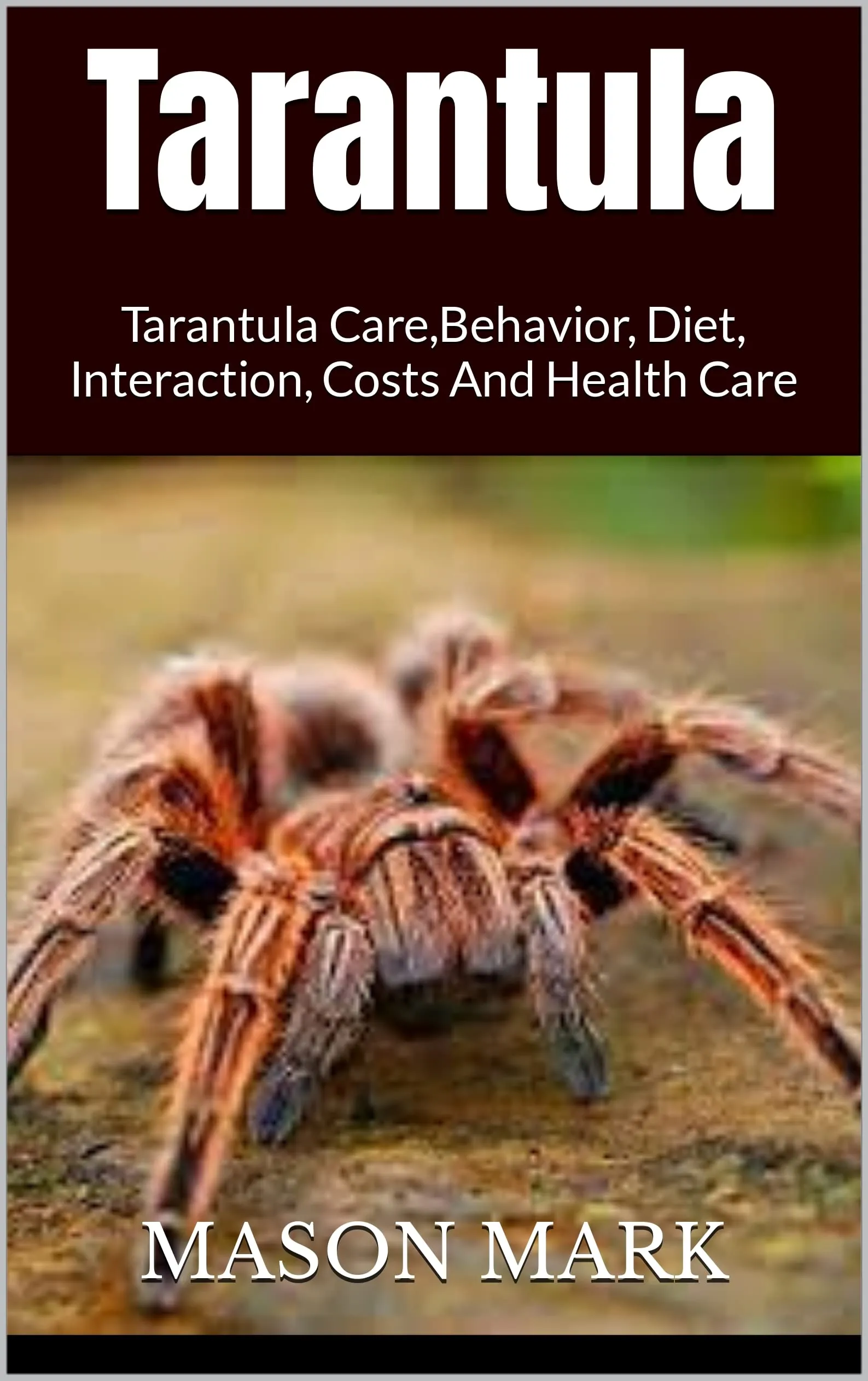 17627 tarantula shoes author