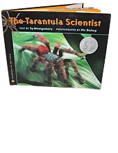 17627 tarantula shoes themes