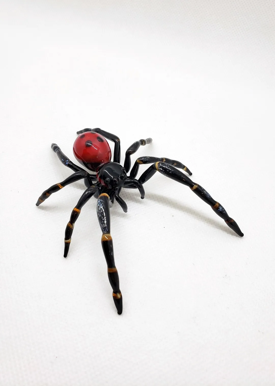 /img/17643-healthy-tarantula.webp