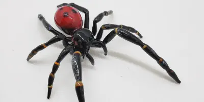 /img/17643-healthy-tarantula.webp