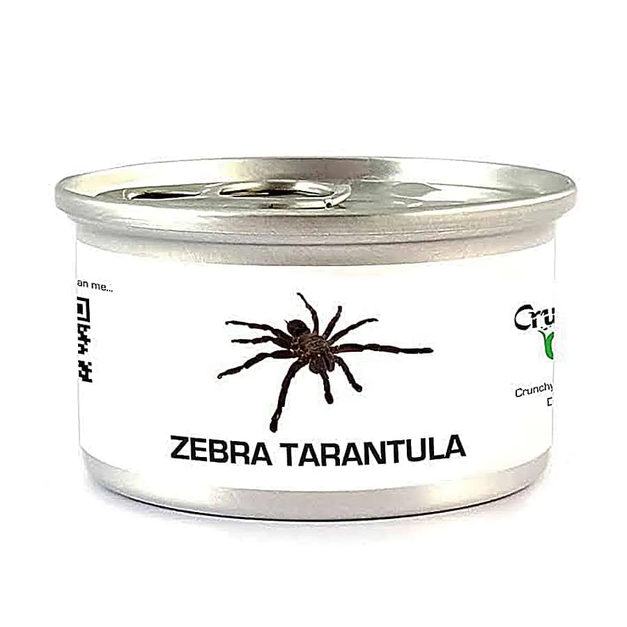 17658 tarantula cooking