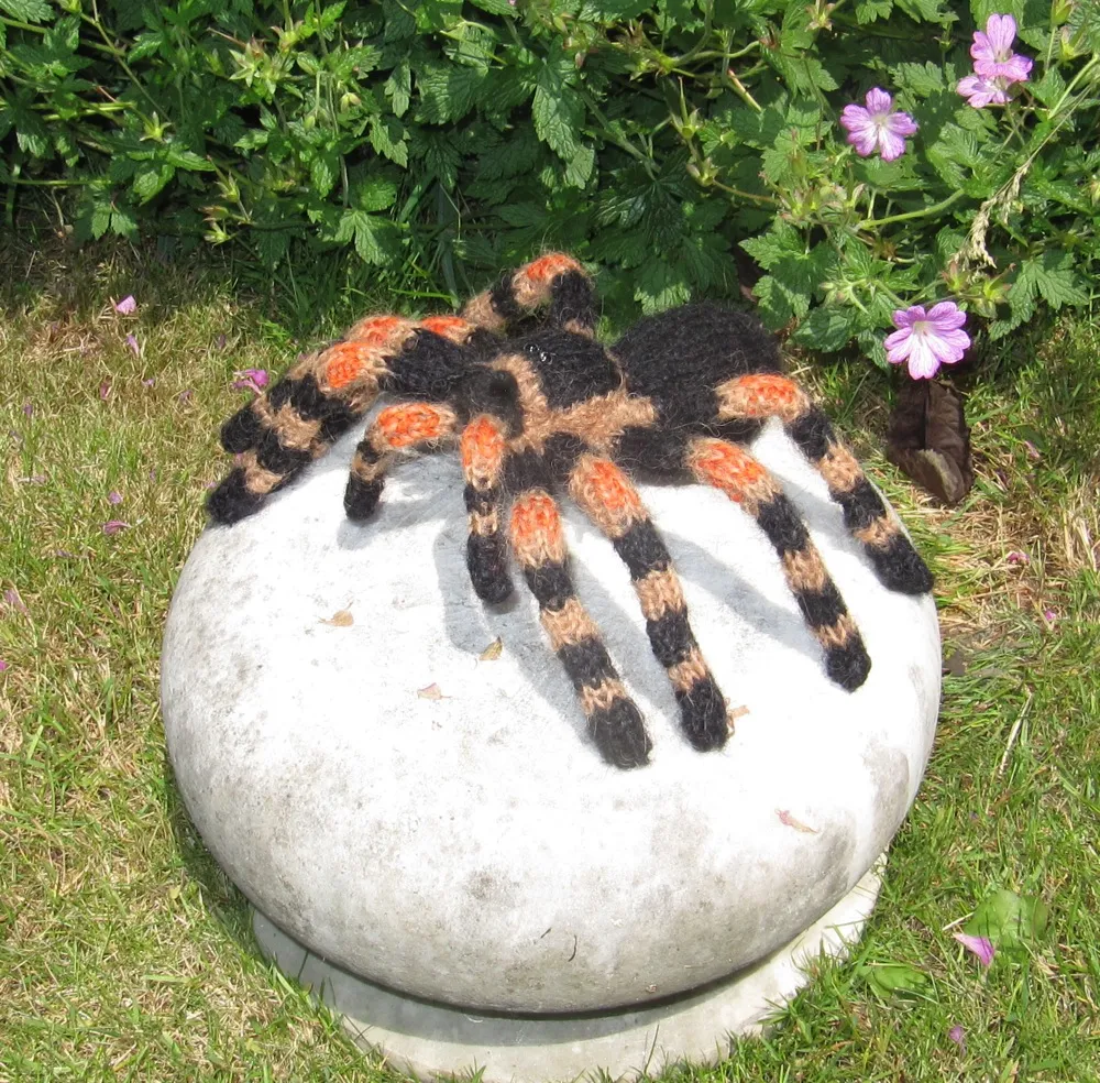17671 tarantula hairs