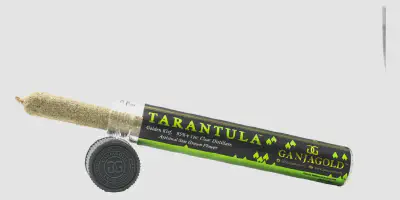 /img/17678-tarantula-blunt-finished.webp