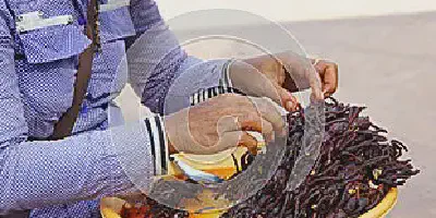 /img/17680-ingredients-fried-tarantula.webp