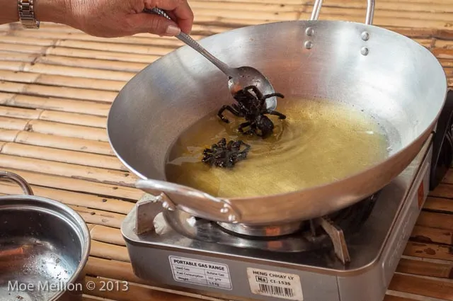 17680 plated fried tarantula