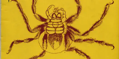 /img/17709-reading-tarantula.webp
