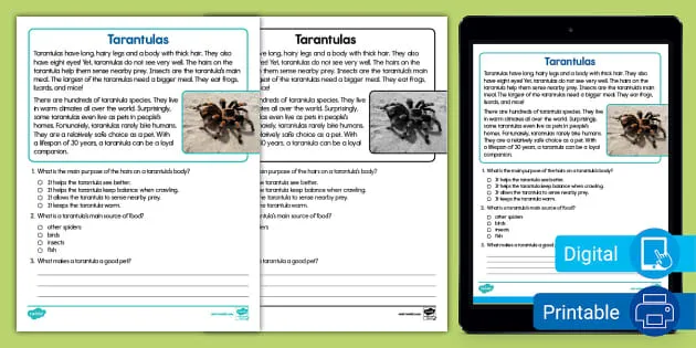 17724 tarantula reading comprehension image2