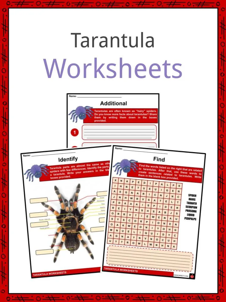 17724 tarantula reading comprehension image4