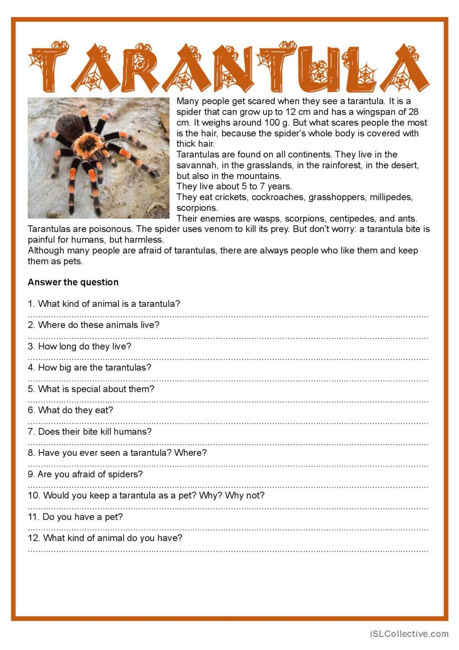 17724 tarantula reading comprehension image6