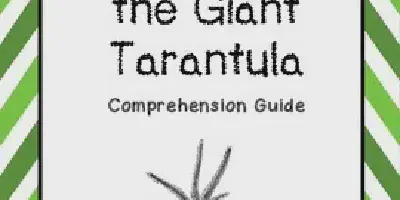/img/17724-tarantula-reading-comprehension-image7.webp