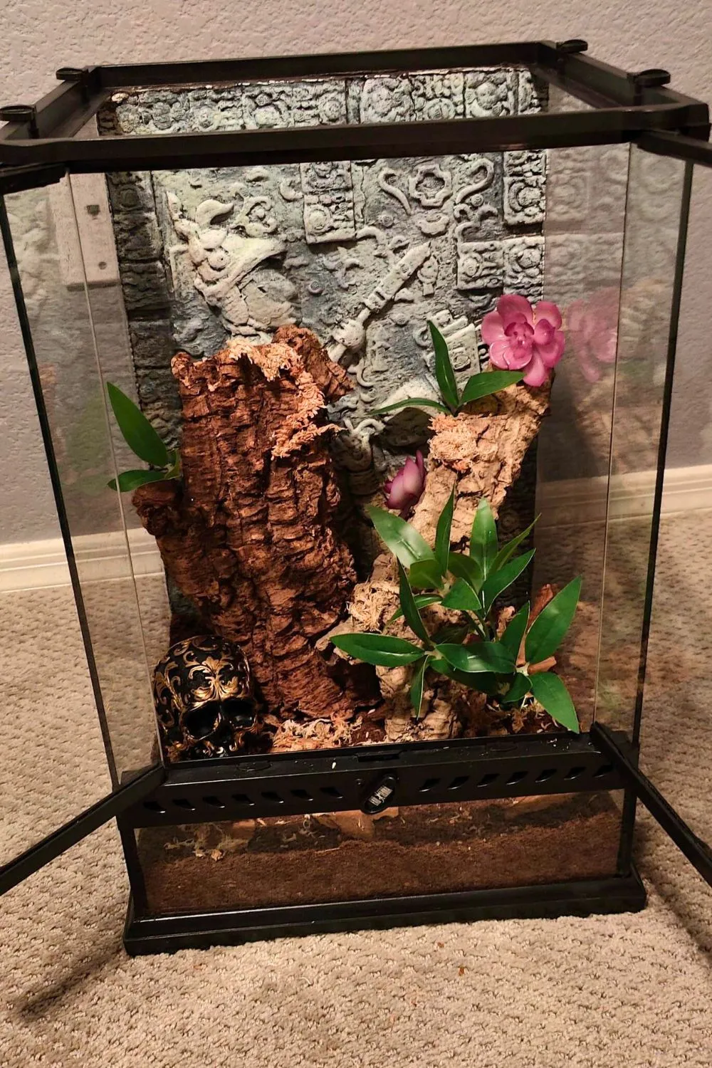 17726 tarantula ventilation