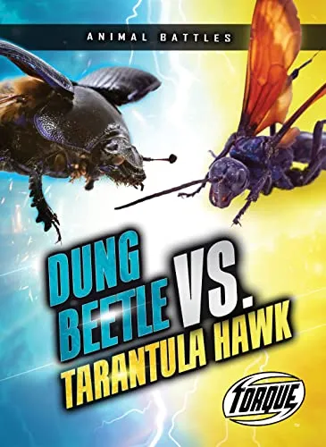 17732 tarantula vs beetle clash