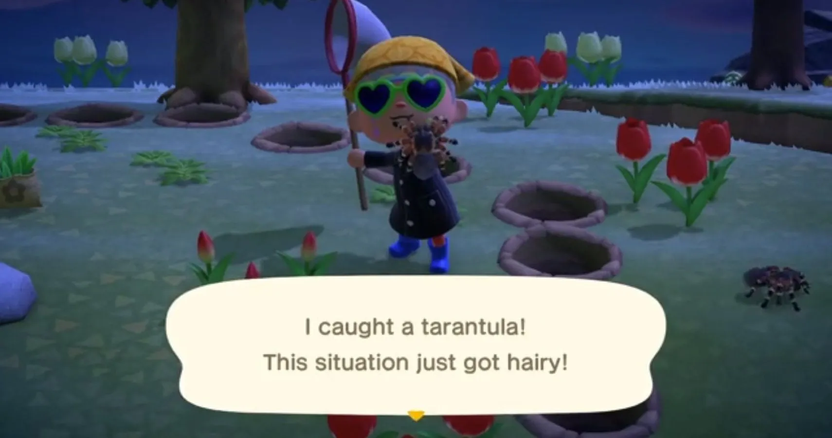 17751 animal crossing tarantula island tarantula behavior