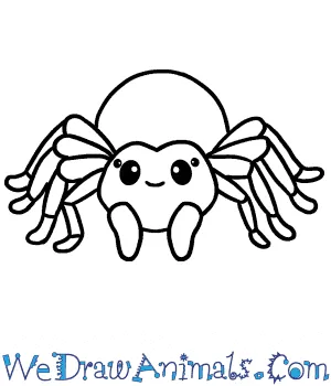 17772 tarantula drawing refinement
