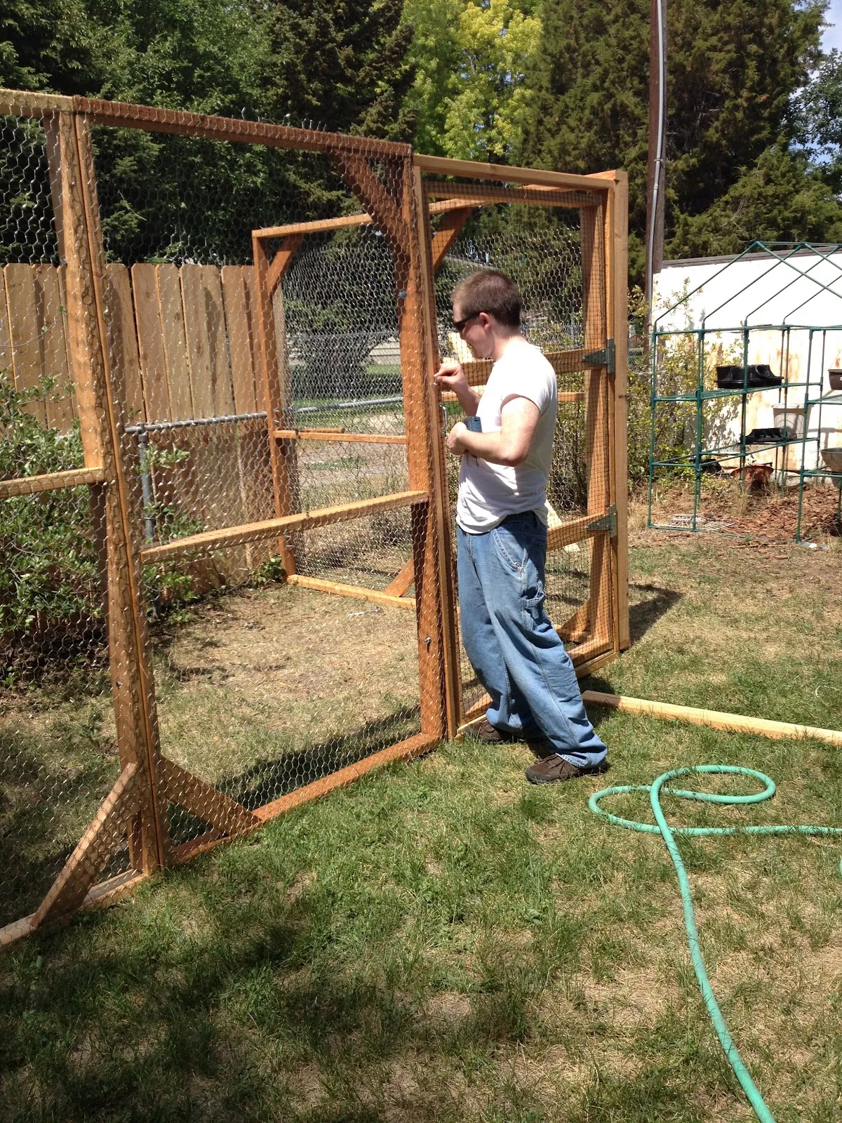 17779 tarantula enclosure decor