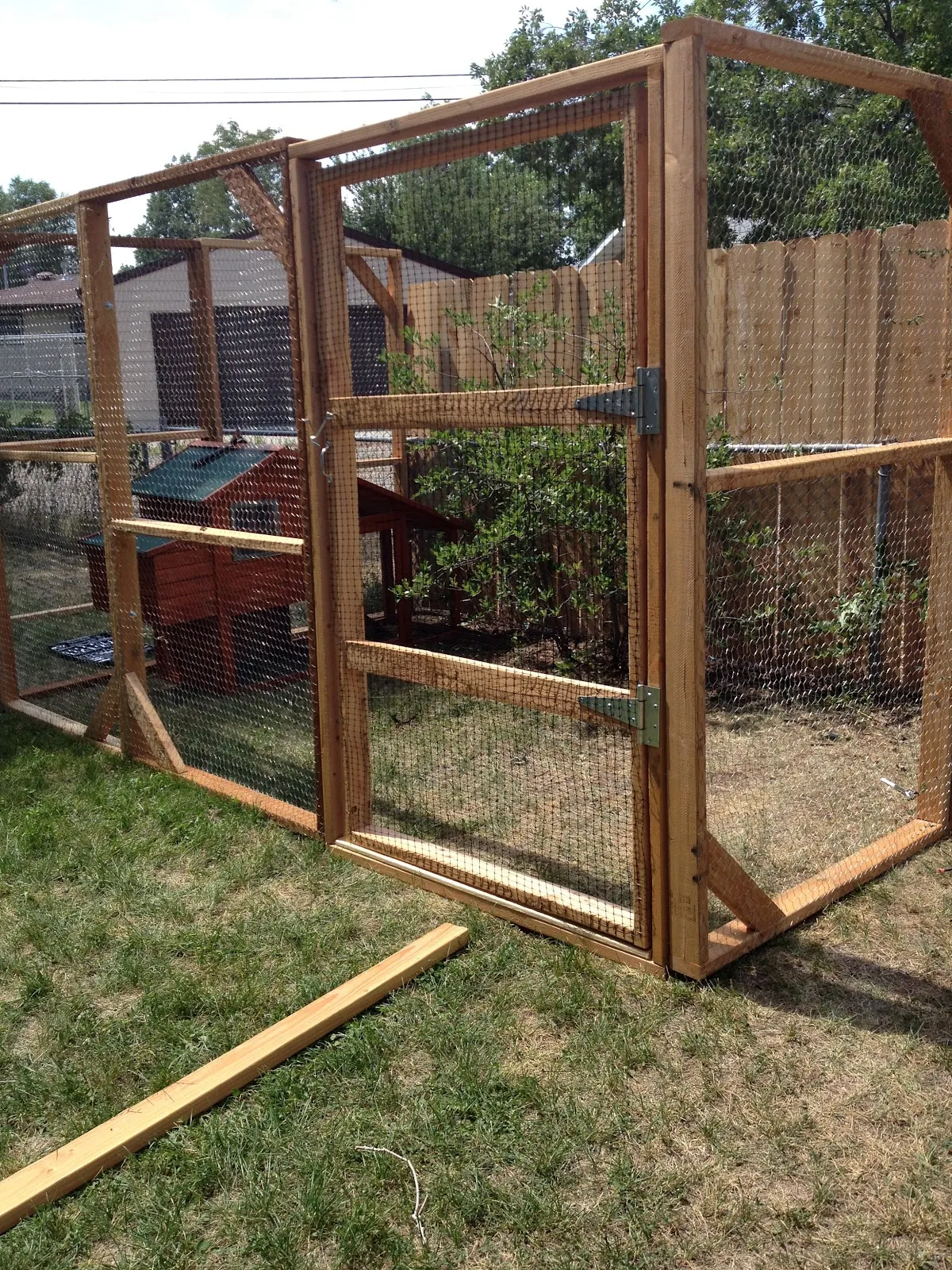 17779 tarantula enclosure substrate options