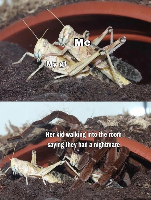 17780 tarantula meme goofy
