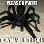 17780 tarantula meme unexpected pose