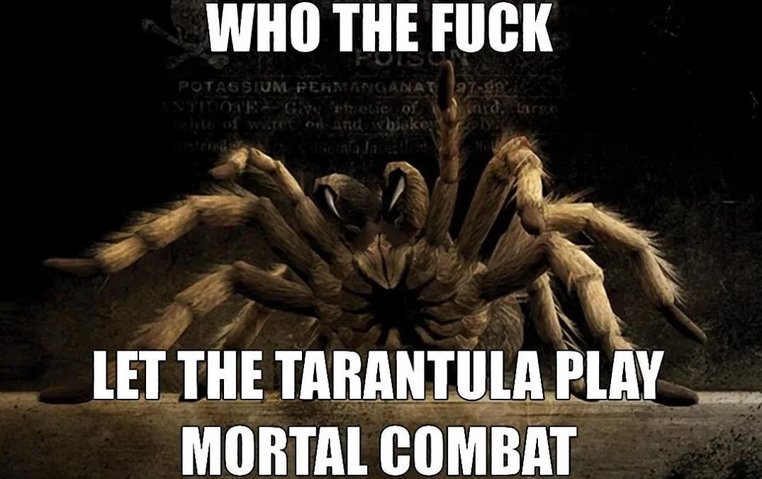 /img/17780-tarantula-meme-viral.webp