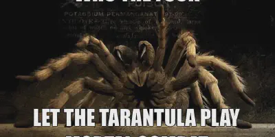 /img/17780-tarantula-meme-viral.webp