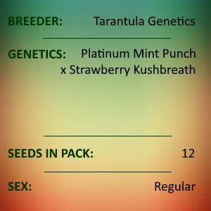 17825 tarantula genetics dna